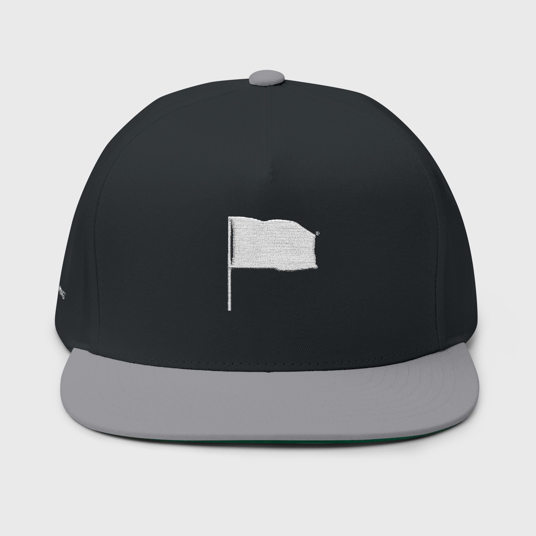 The Flag Snapback Hat